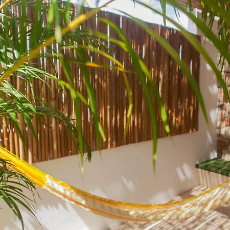 Collection O Latino Boutique Tulum