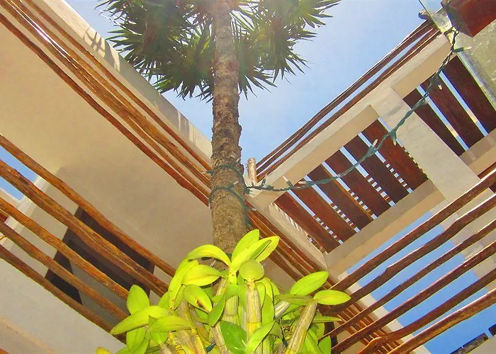 Latino Boutique 3* Tulum